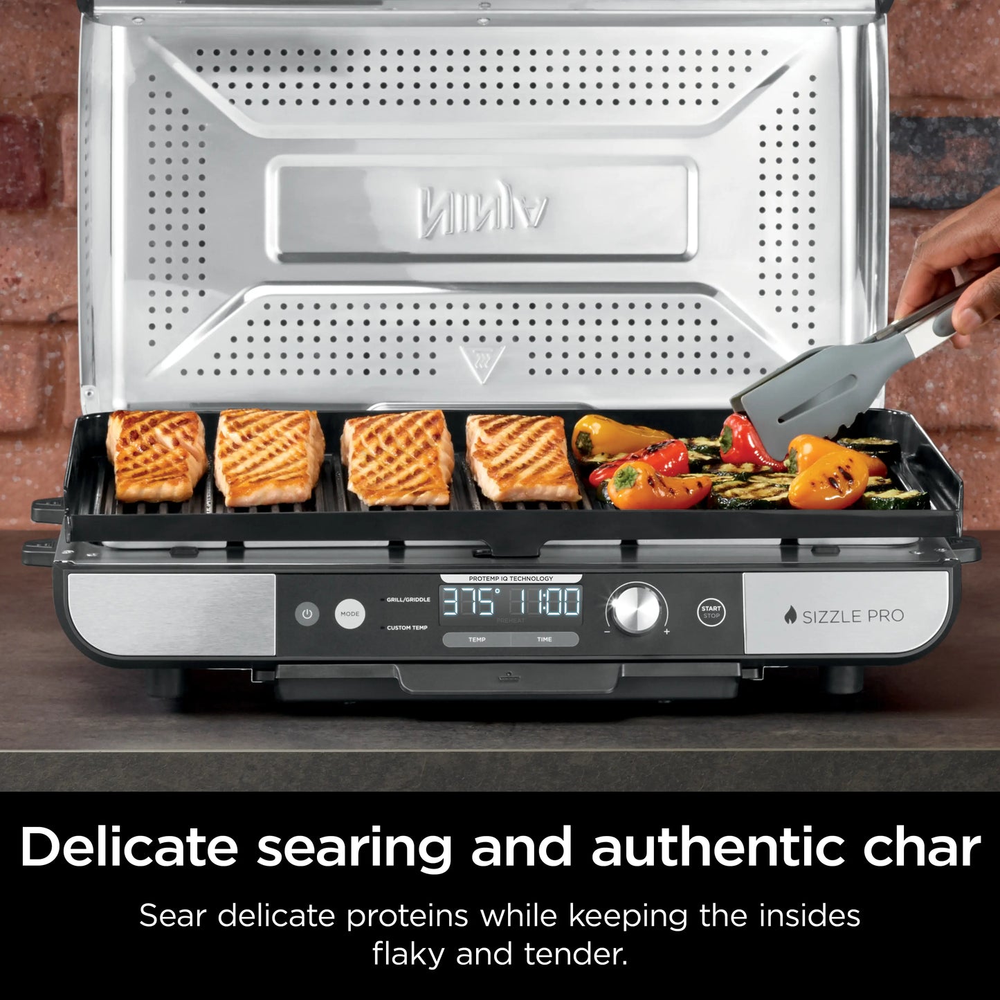 Family Feast Griddle Grill Combo